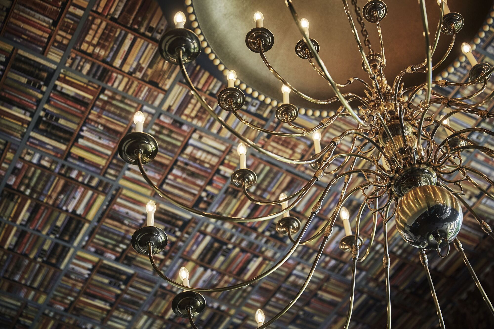 Graduate By Hilton Ann Arbor Hotel Interior foto